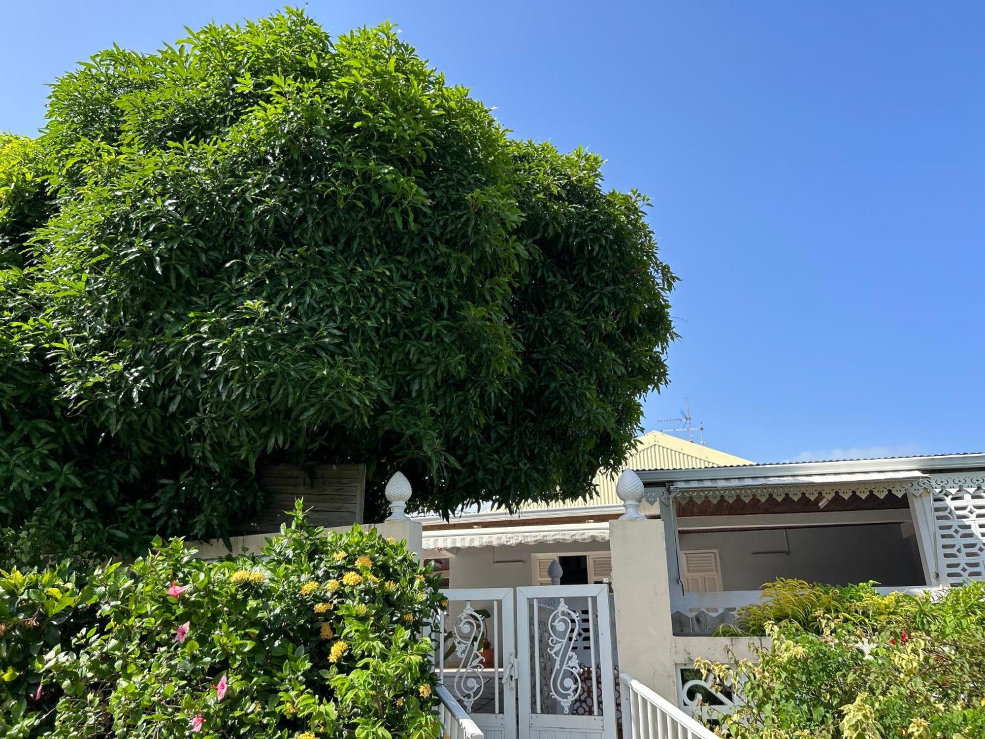 Villa A Louer A Sainte-Anne En Martinique Экстерьер фото